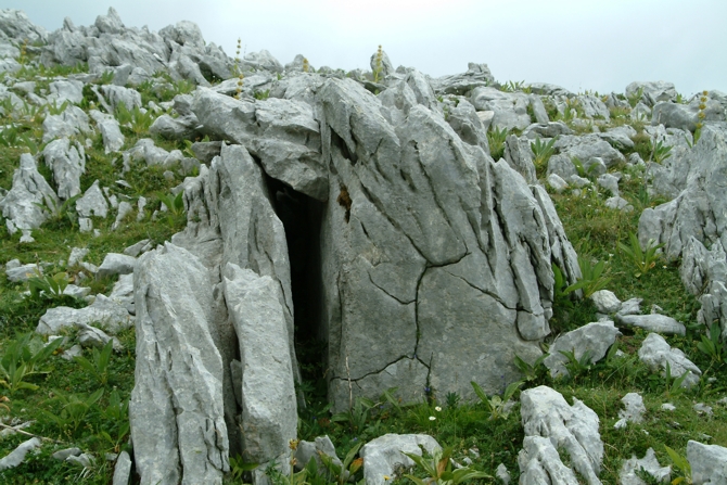 Sculture naturali